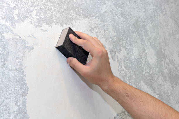 Best Mold Damage Restoration  in Middlebranch, OH