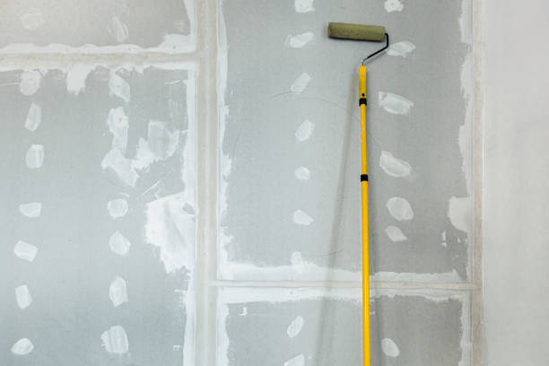 Best Mold Prevention Services  in Middlebranch, OH