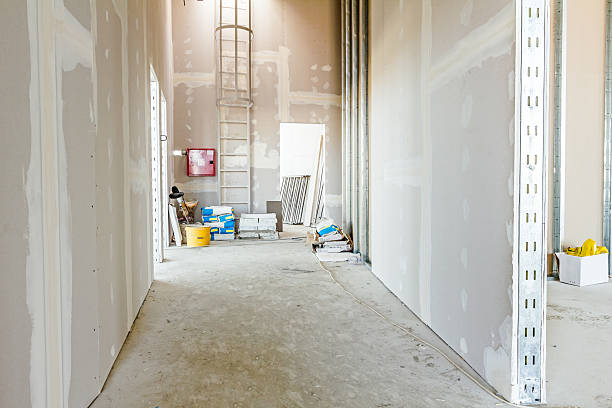 Best Crawl Space Mold Remediation  in Middlebranch, OH